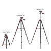 Zomei T70 Portable Tripod with Phone Clip and Bluetooth Remote Black Red--YS